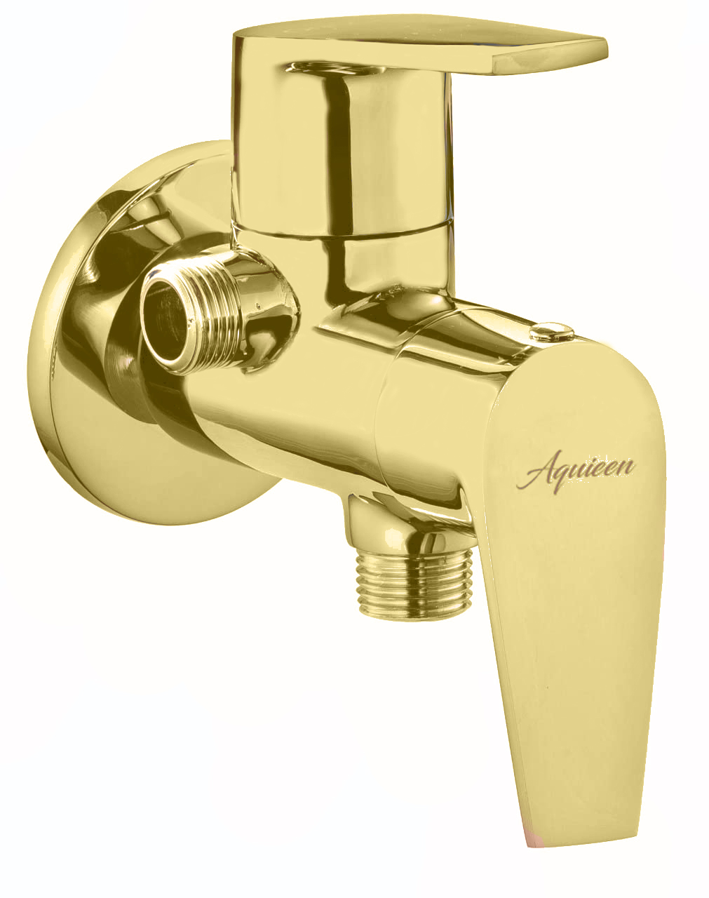 Aquieen Entice Brass Luxury Series 2 In 1 Angle Valve With Wall  Flange Gold